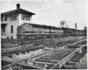 Steam locomotive with freight train