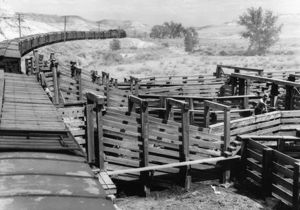 Northern Pacific Railroad