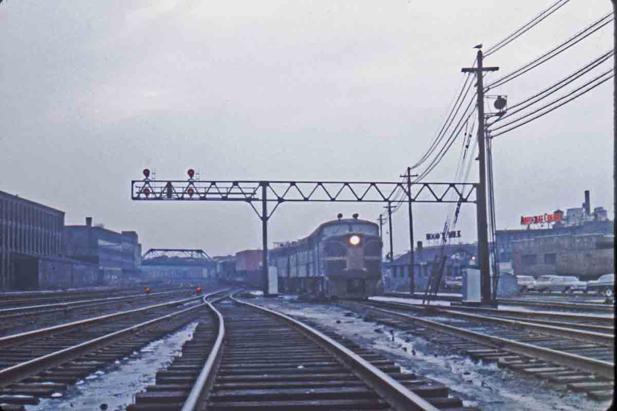 Green diesels on freight train under signal bridge