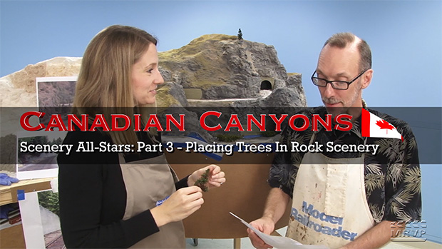 Canadian Canyons Series: Scenery All-Stars, Part 3 – Forestry along the rock faces