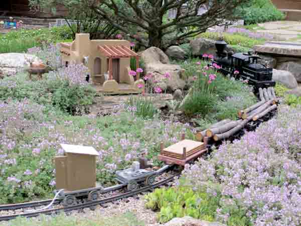 train on garden railway passing by field