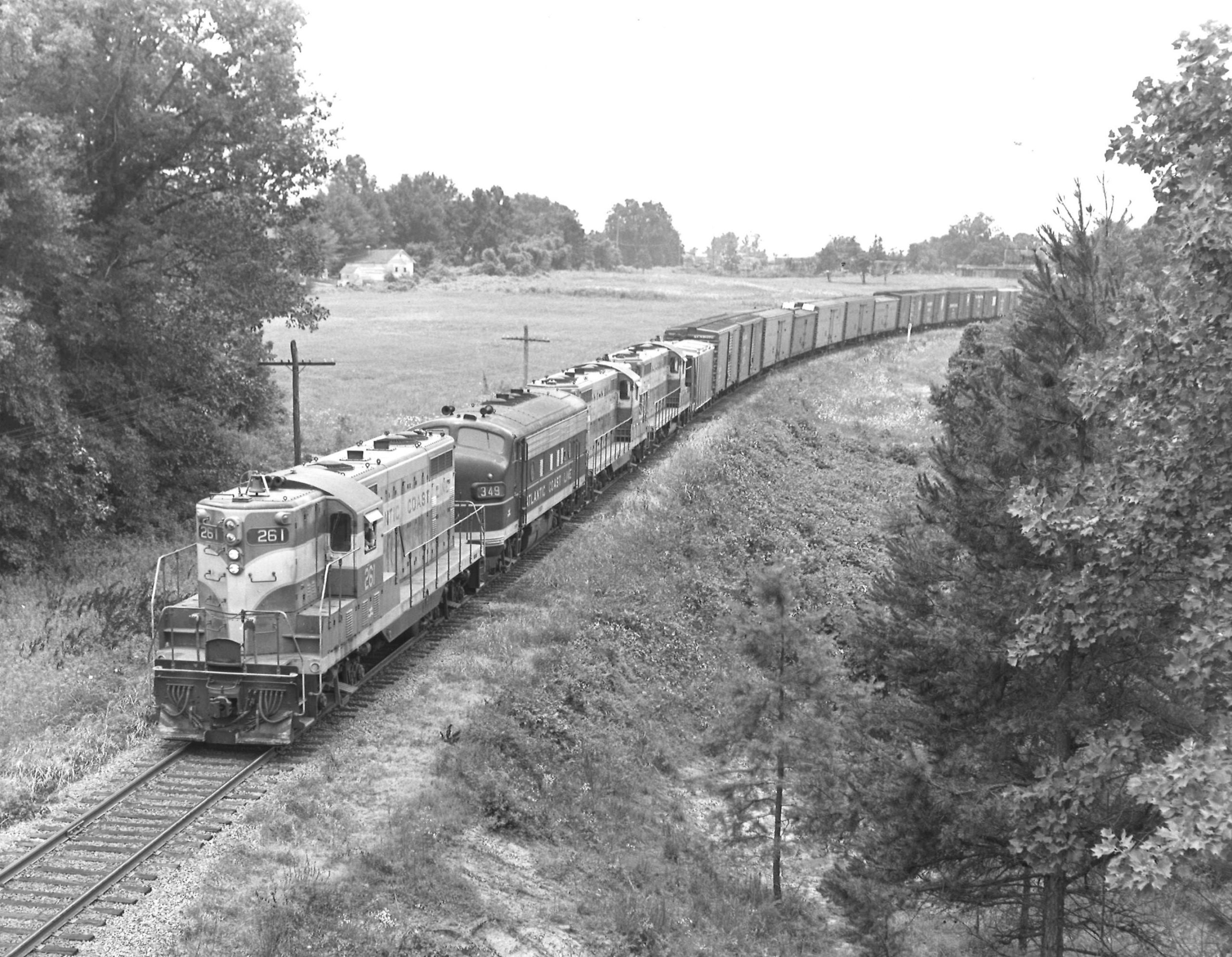 A black and white photo of a diesel locomotive moving through the trees
