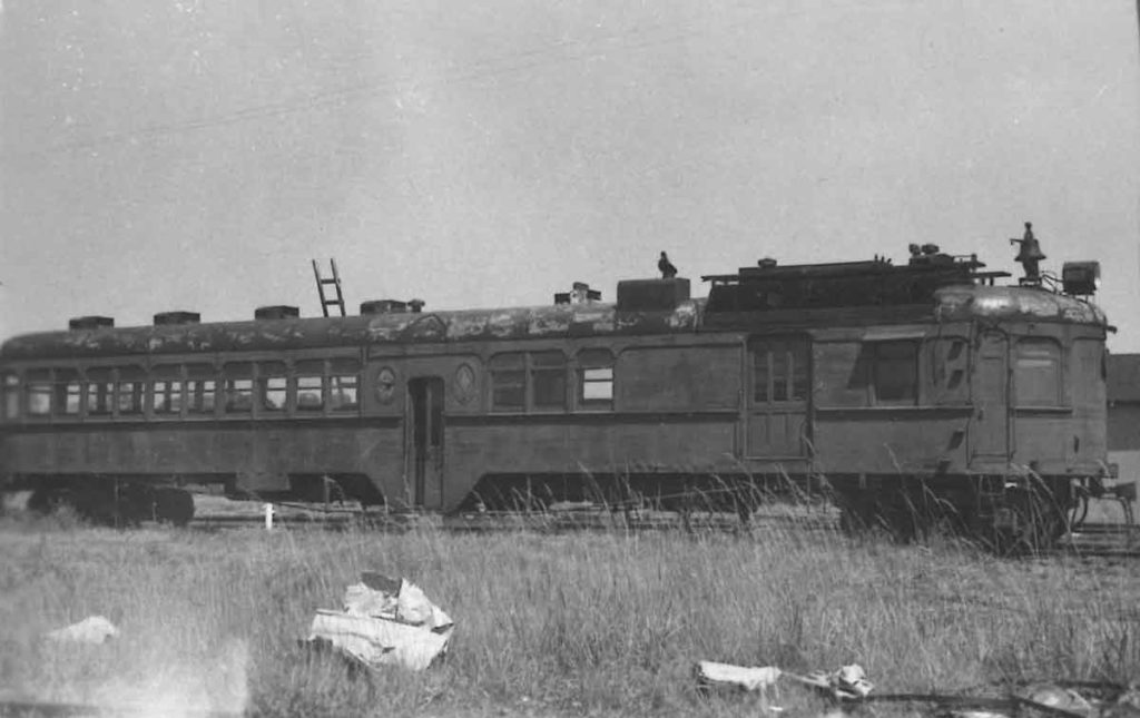 ApalachicolaNortherndoodlebug