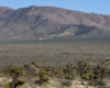 A distant shot of Big Boy passing by with mountains in the background