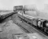 CNJ1