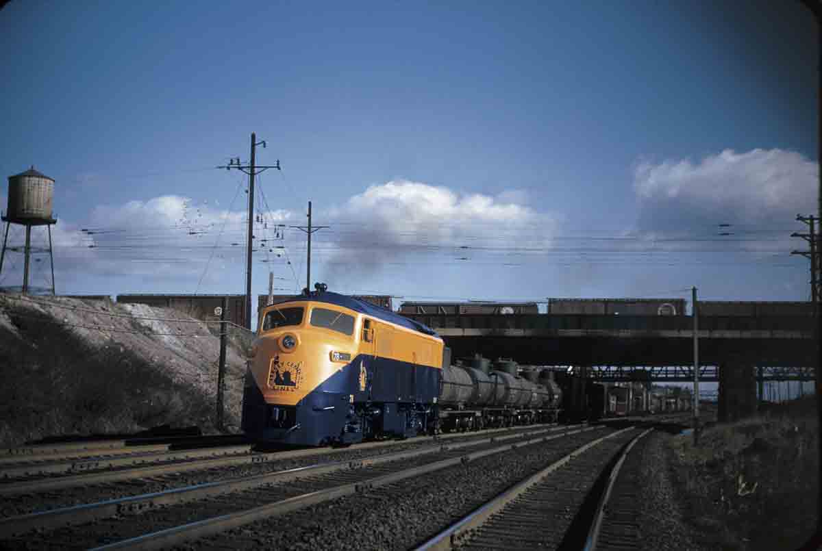 CNJ2