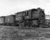 CNJ3