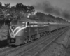 CNJ5