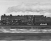CP2439