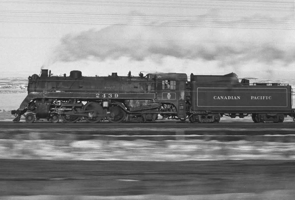 CP2439