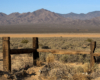 A distant shot of Big Boy passing by with a wooden fence in front of it