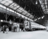 Passenger trains inside trainshed