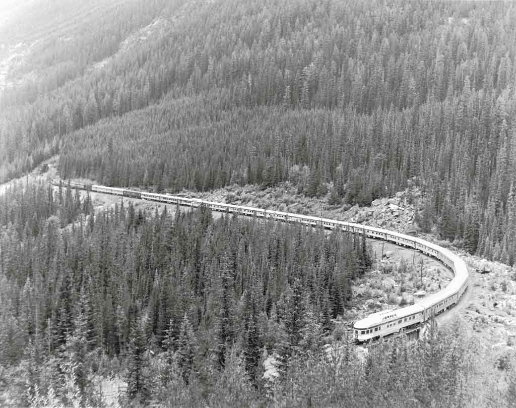 Streamlined passenger train snaking along wooded mountainside