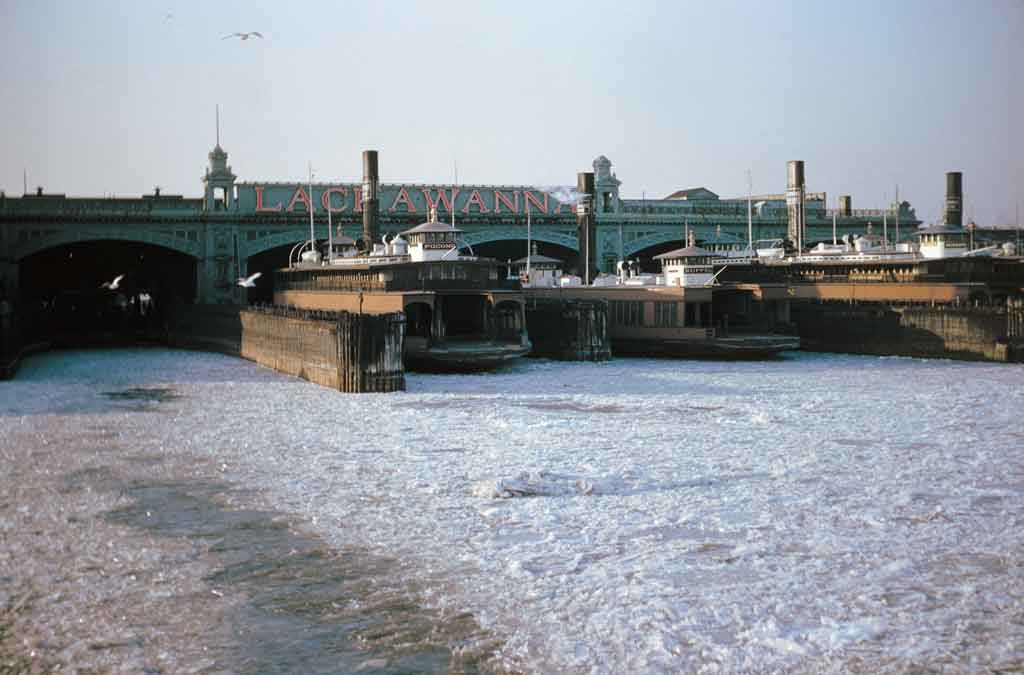 three ferries at a terminal