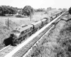 Three-unit diesel set on freight train in cut