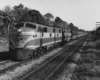 a passenger train by some woods