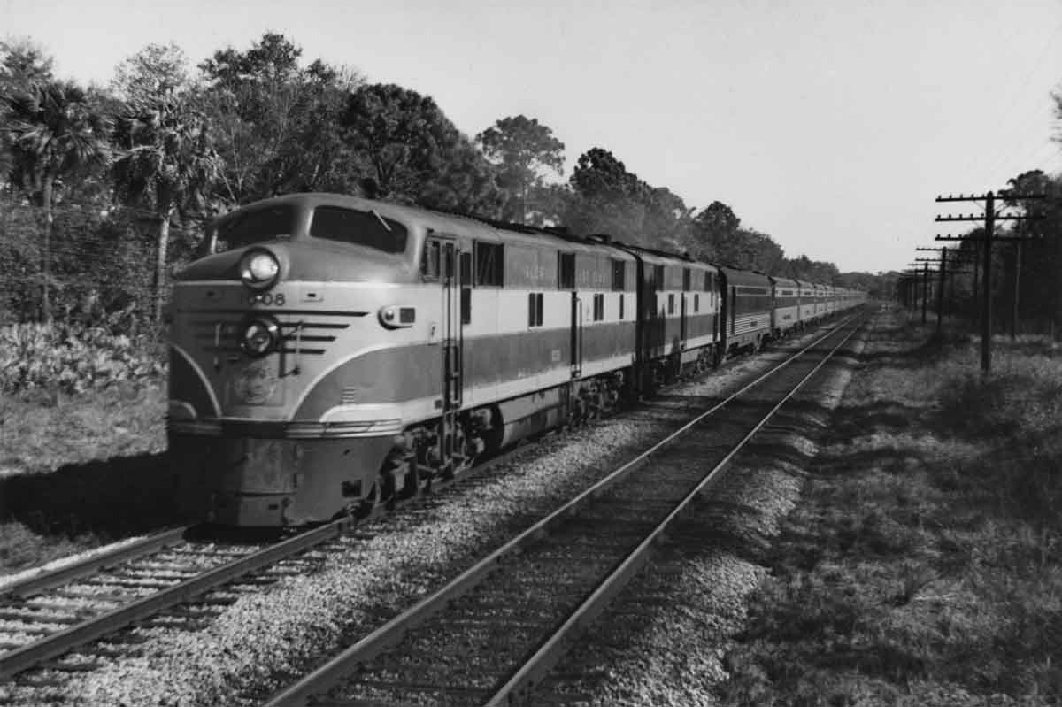 a passenger train by some woods
