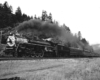 a steam engine in front of a patch of woods