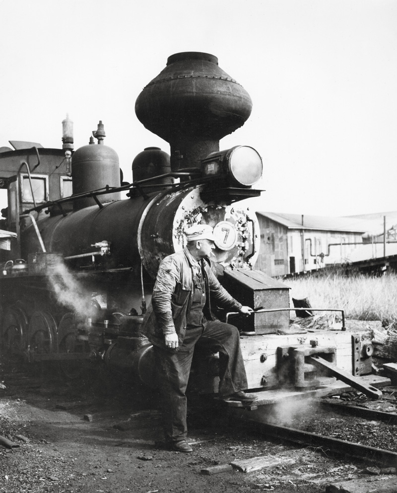 A man posing with a train
