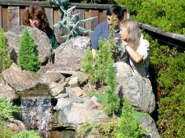 rocky model mountain with trees