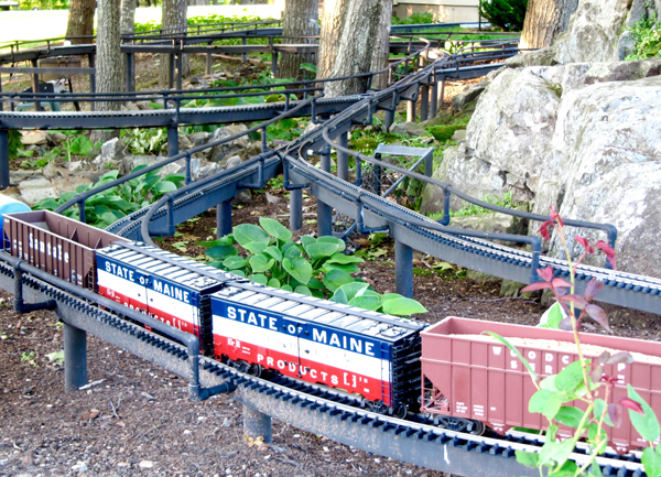 train with red white and blue cars on garden railway