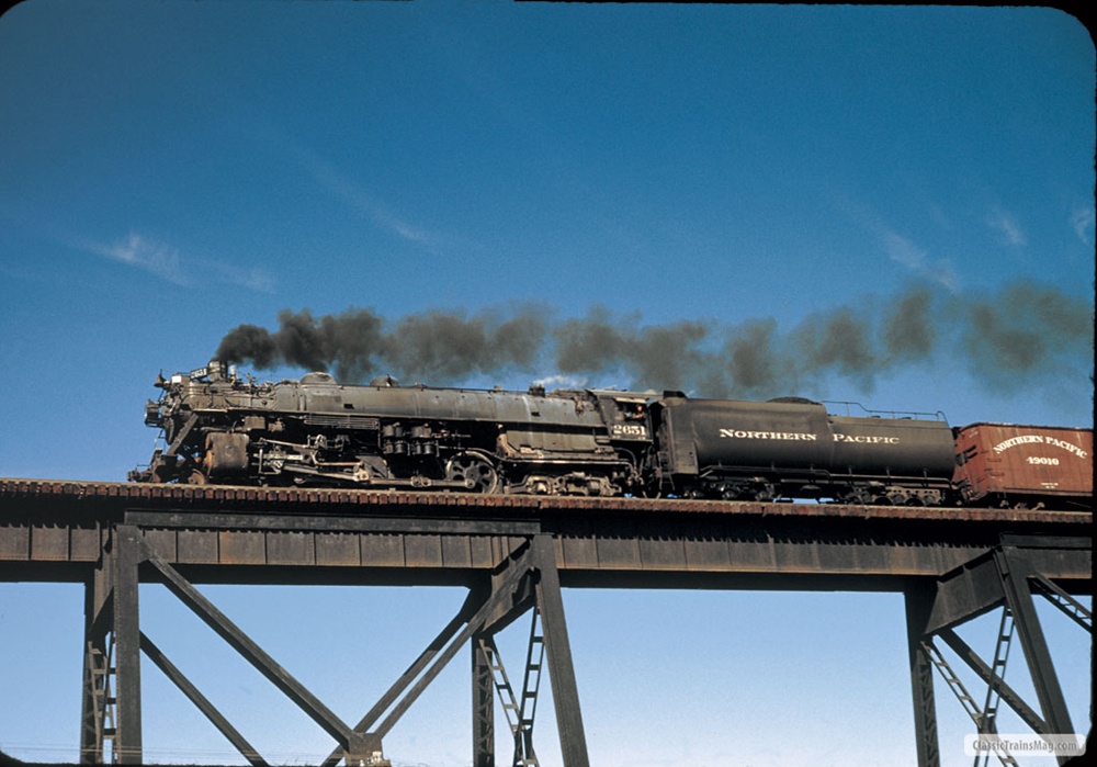 NP484