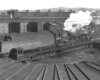 NYC3146
