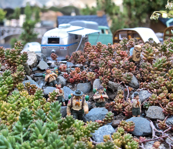 plant on rocks