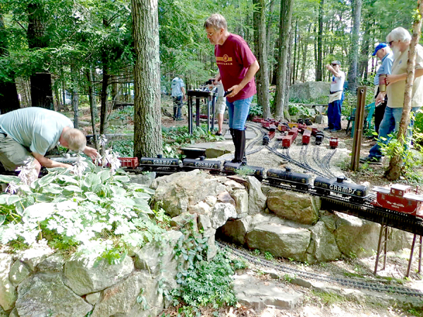 man standing in garden railway