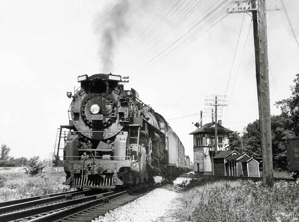 PM1229