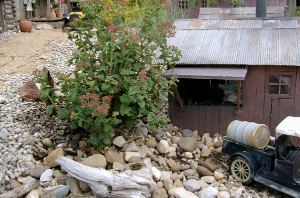 house with rocks nearby on garden railroad