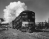 SP4293