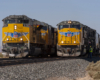 Two union pacific trains side by side on the tracks