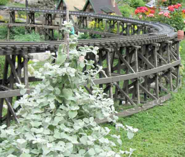 large trestle with tree in front of it