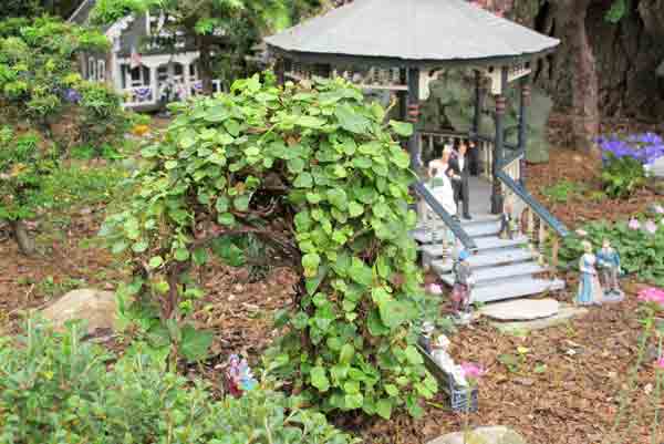 miniature pergola with vine nearby
