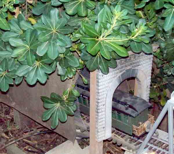 tunnel portal with tree over it