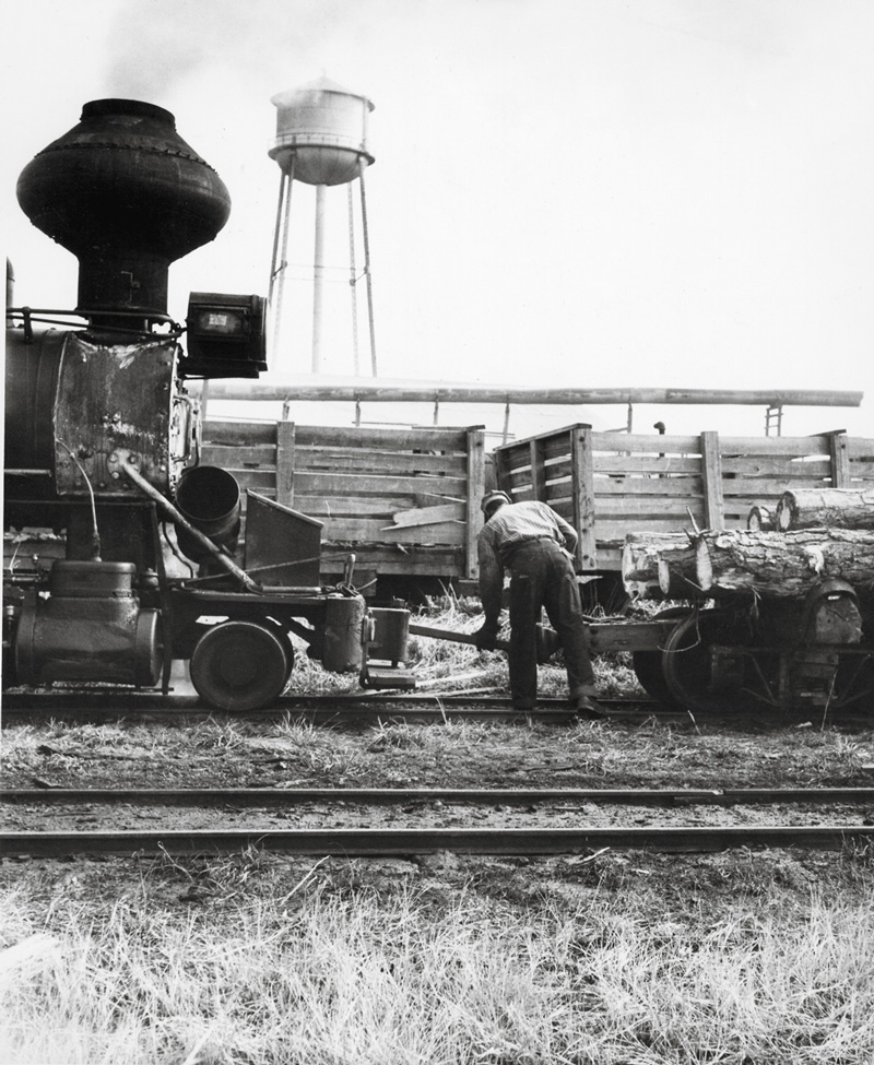 A man loading lumber