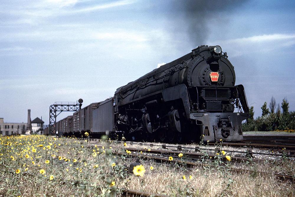 A train passing through a grassy field with yellow flowers