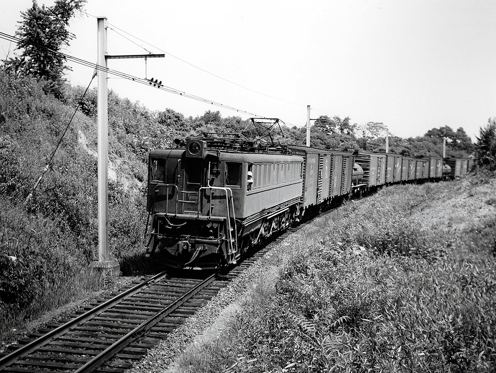A train turning a corner in a grassy area