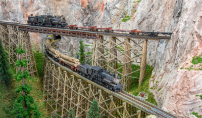 Video: The HO scale Arcadia & Betsey River Ry.