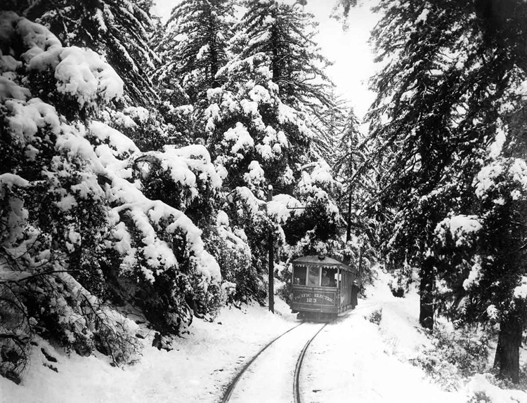 A streetcar ascending a hill surrounded by a snow-coated forest.