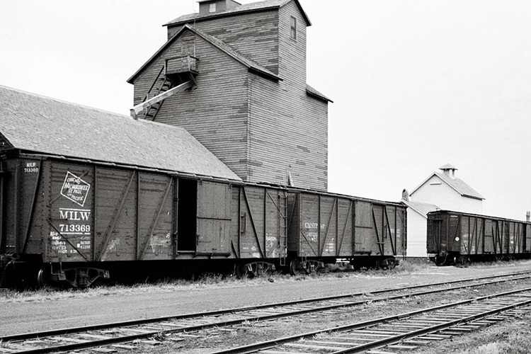 Grain-hauling boxcars