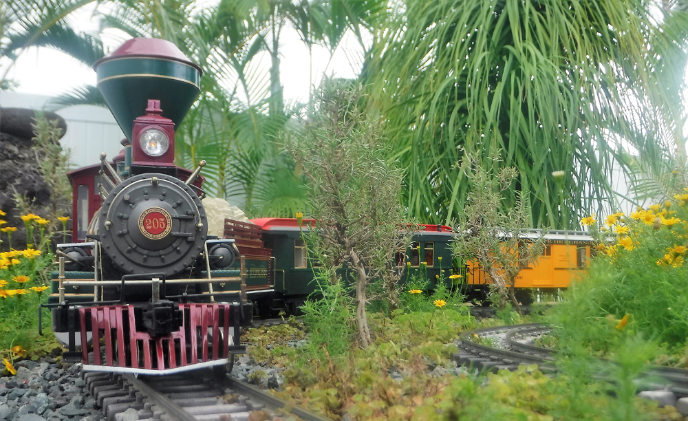 Eric Mueller's garden railroad in Hawaii