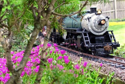 Cooper’s ice plant