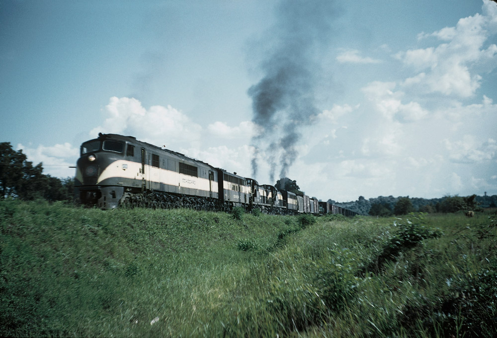 Streamlined and road-switcher diesel locomotives on freight train
