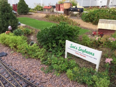 Create a soybean ﬁeld for your garden railroad