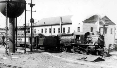 Camelback ‘Comet’