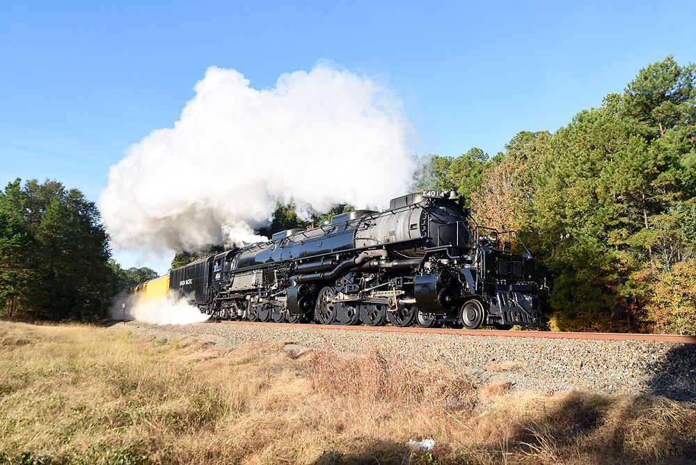 Steam locomotive generating clouds of steam on curve among trees