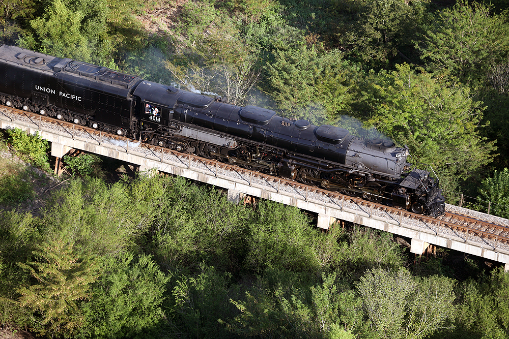 Big Boy steam locomotive on a bridge over trees and vegetation.