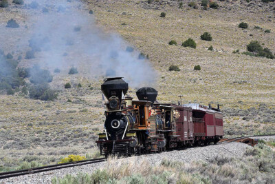 Wood-burning steam locomotive special event